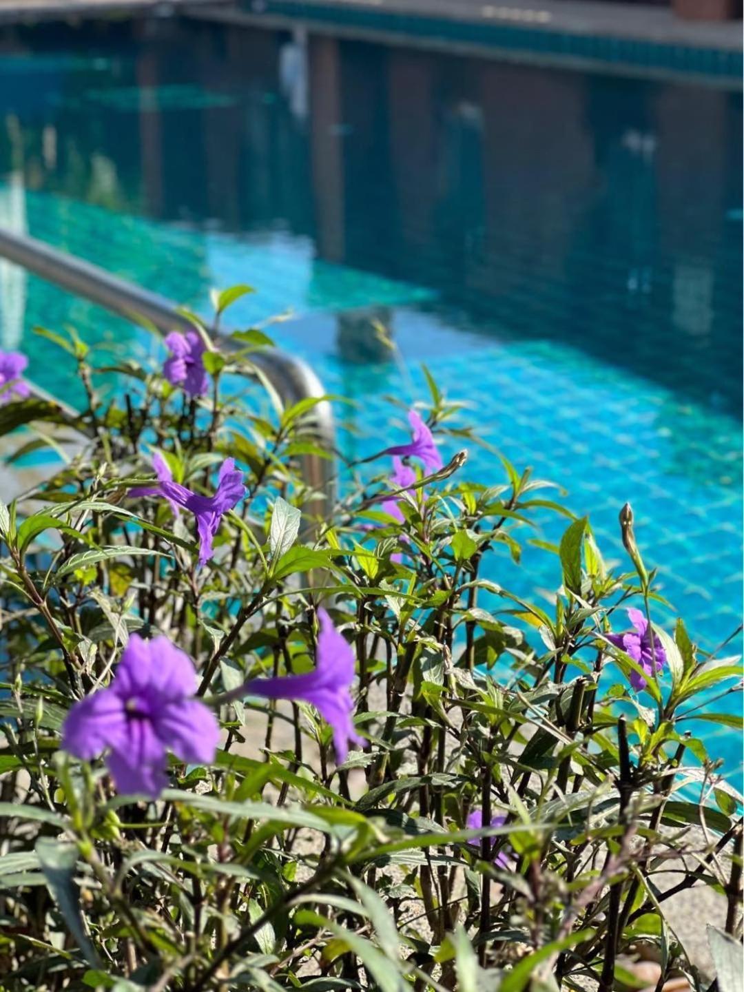Pattara Mansion พัทยา Otel Pattaya Dış mekan fotoğraf